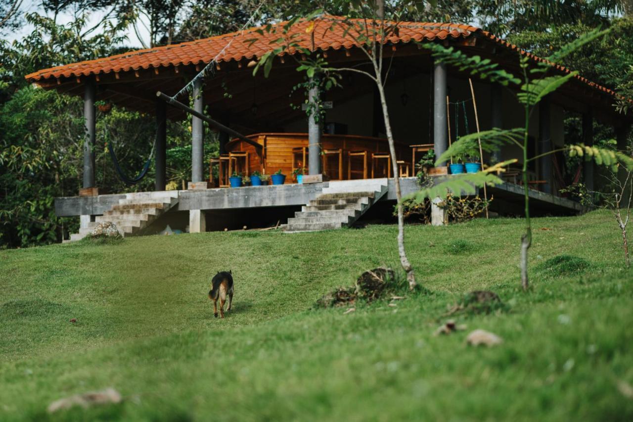 La Perla Negra - Black Pearl Eco Hostel Сан-Рафаэль Экстерьер фото
