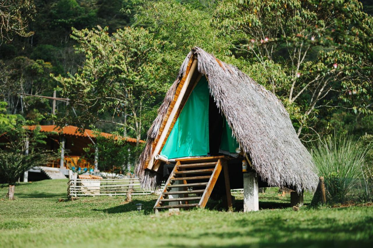 La Perla Negra - Black Pearl Eco Hostel Сан-Рафаэль Экстерьер фото