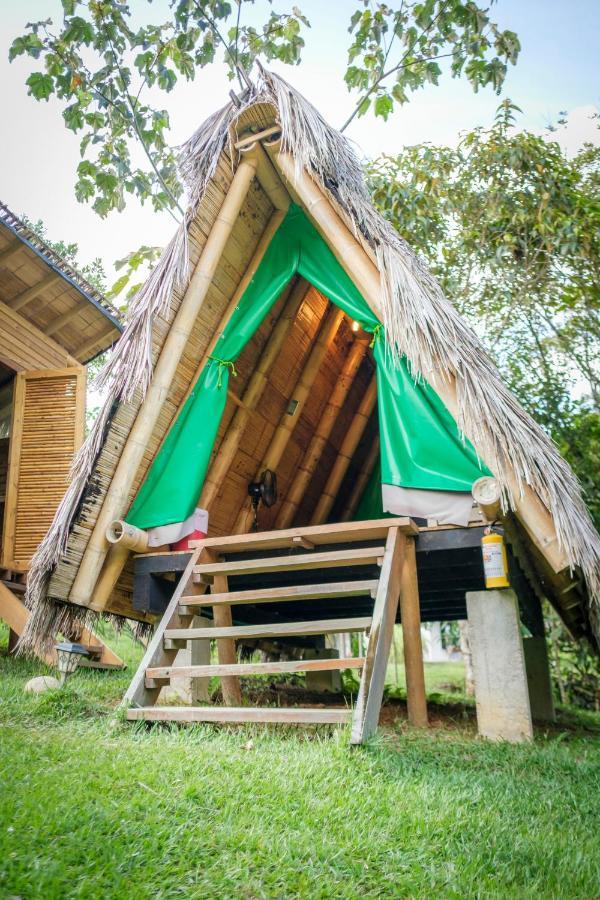 La Perla Negra - Black Pearl Eco Hostel Сан-Рафаэль Экстерьер фото
