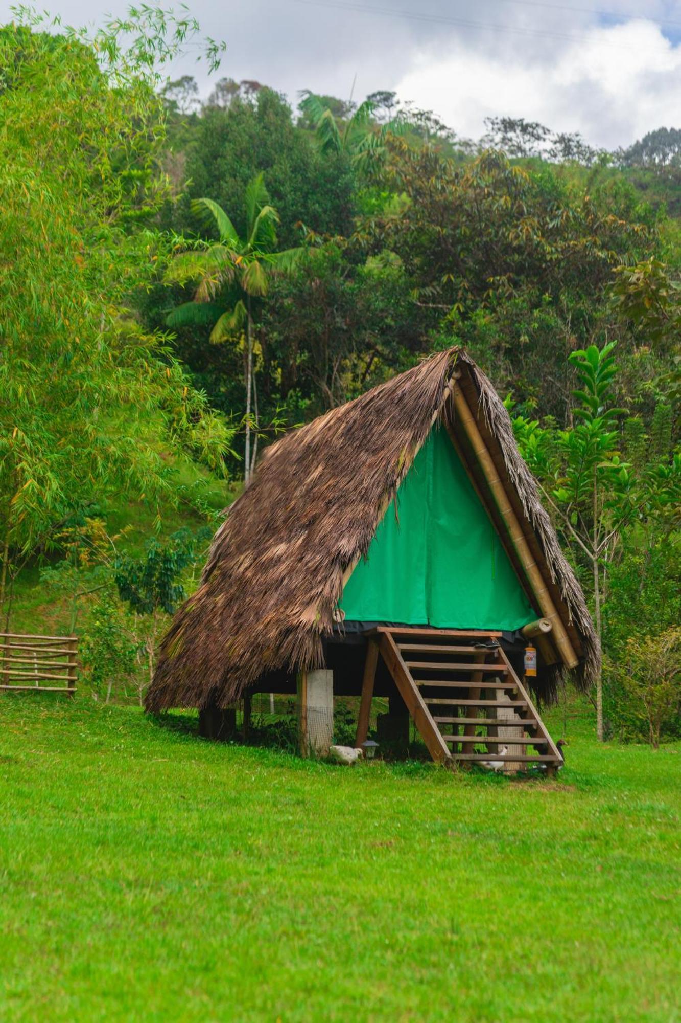 La Perla Negra - Black Pearl Eco Hostel Сан-Рафаэль Экстерьер фото